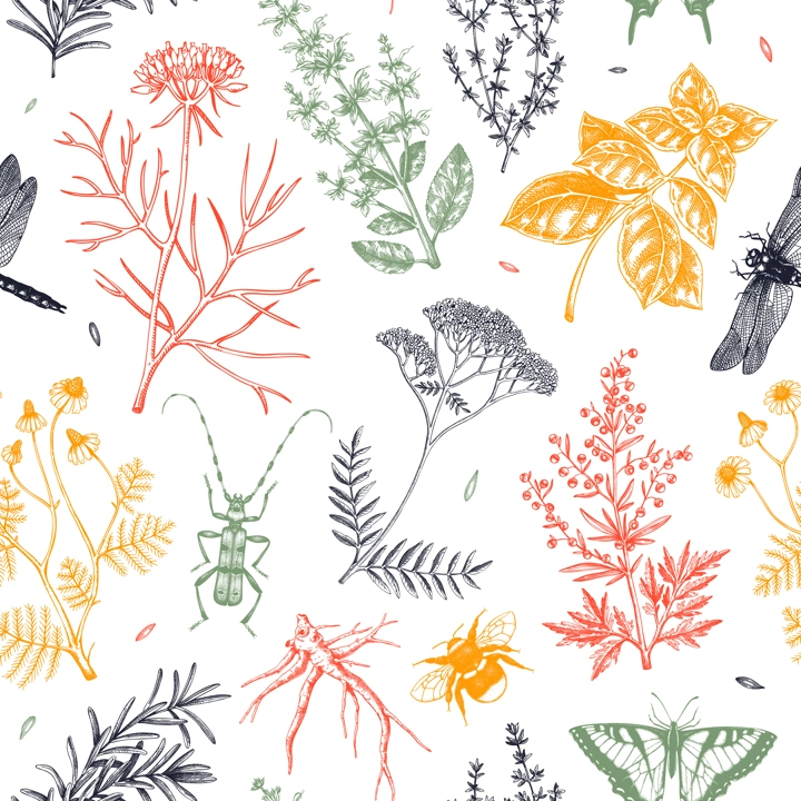 Apothecary plant background. Medicinal herbs seamless pattern. Insects hand-drawn vector illustration. NOT AI generated